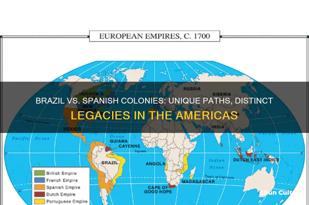 how did brazil differ from spanish colonies