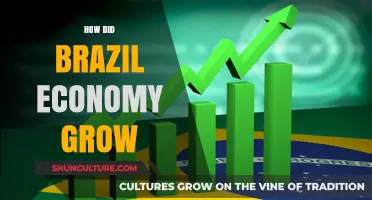 Brazil's Economic Boom: Key Factors Driving Growth and Development