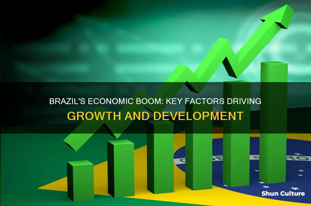 how did brazil economy grow