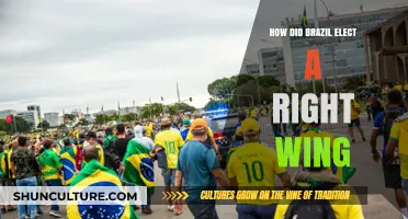 Brazil's Right-Wing Shift: Understanding the Rise of Conservatism