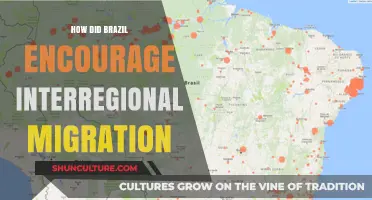 Brazil's Strategies to Boost Interregional Migration: A Historical Overview