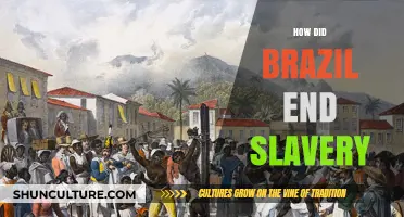 Brazil's Path to Freedom: The Abolition of Slavery in 1888