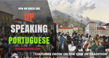 Why Brazil Speaks Portuguese: A Historical Journey to Language Dominance