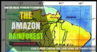Brazil's Amazon Boundaries: A Historical Journey of Territorial Expansion