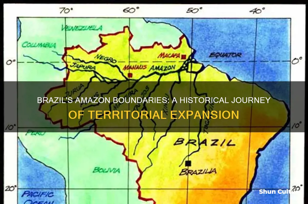 how did brazil establish its boundaries in the amazon rainforest