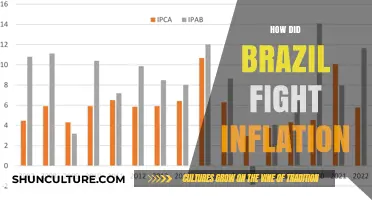 Brazil's Battle Against Inflation: Strategies and Economic Resilience