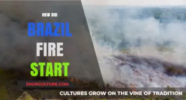 Unraveling the Devastating Origins of Brazil's Wildfire Crisis