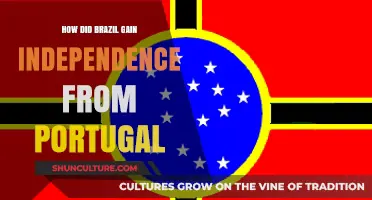 Brazil's Path to Freedom: The Struggle for Independence from Portugal