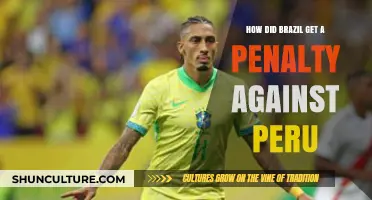 Brazil vs Peru: Analyzing the Controversial Penalty Decision in Detail