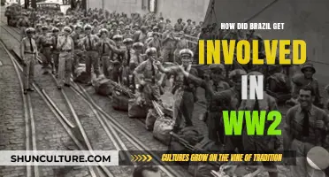 Brazil's WWII Role: From Neutrality to Allied Partnership