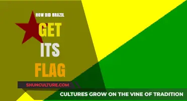 The Evolution of Brazil's Flag: History, Design, and Symbolism Explained