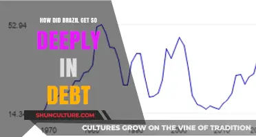 Brazil's Debt Crisis: Unraveling the Economic Factors Behind Its Deepening Debt