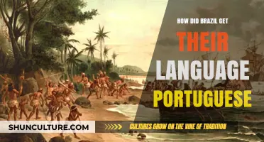 How Brazil Adopted Portuguese: A Historical Language Journey
