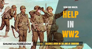 Brazil's Strategic Role and Contributions in World War II