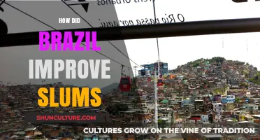 Transforming Brazil's Favelas: Innovative Strategies for Slum Upgrades and Development