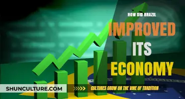 Brazil's Economic Transformation: Strategies and Successes Behind Its Growth