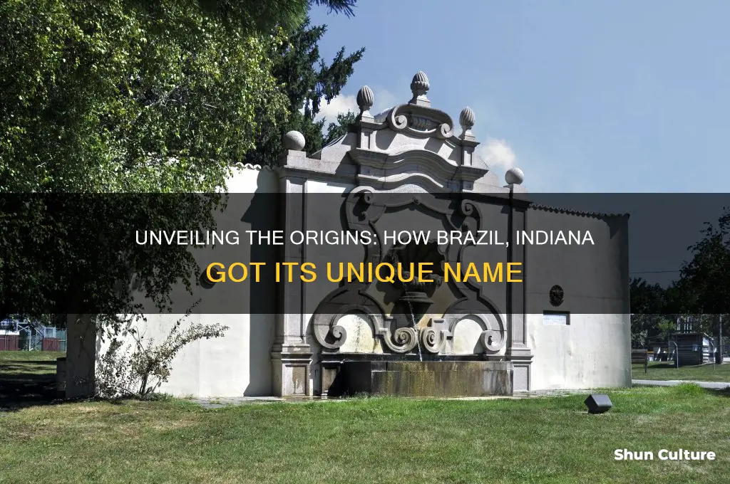 how did brazil indiana get its name
