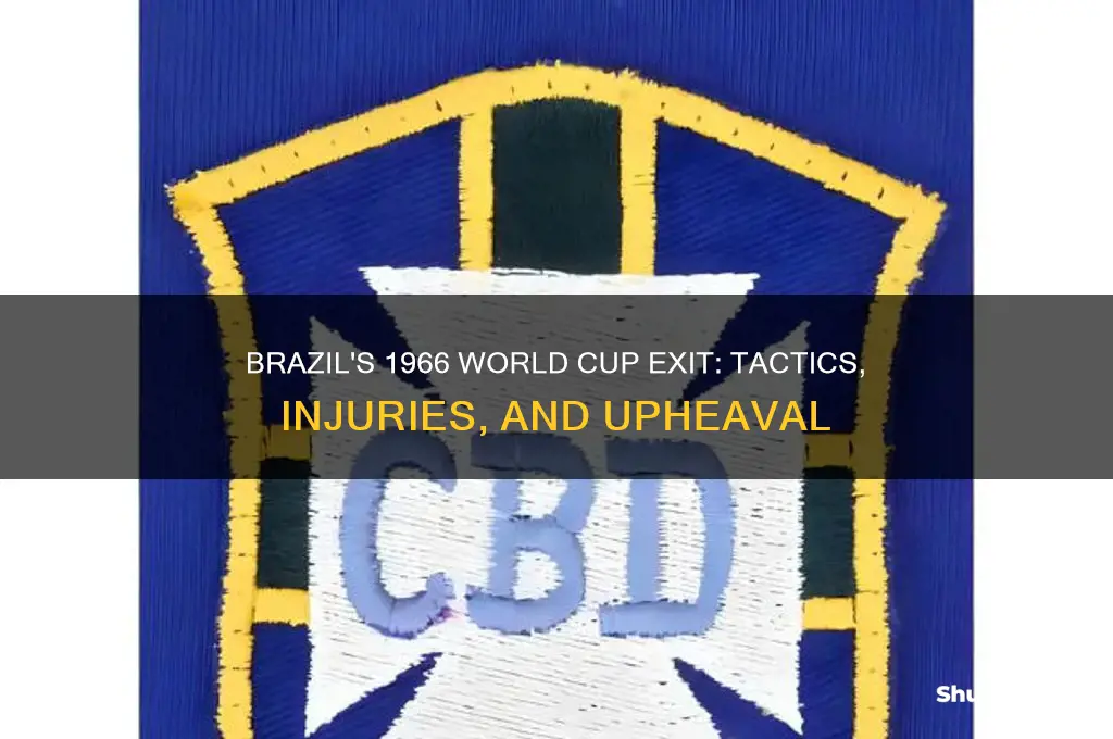 how did brazil lose the 1966 world cup