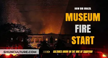 Unraveling the Devastating Blaze: How Did Brazil's Museum Fire Start?