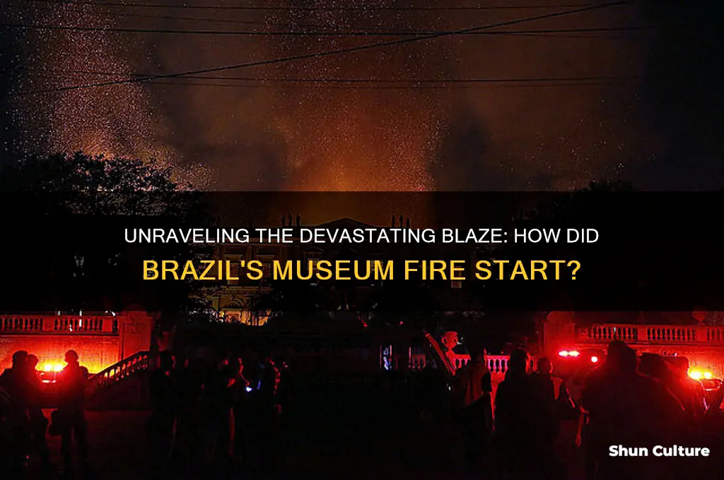 how did brazil museum fire start