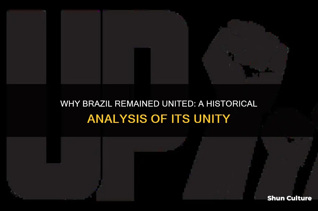 how did brazil not seperate into different countries