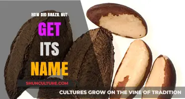The Surprising Origin Story of the Brazil Nut's Name