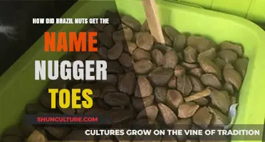 Unraveling the Odd Origin of Brazil Nuts' Nugger Toes Name