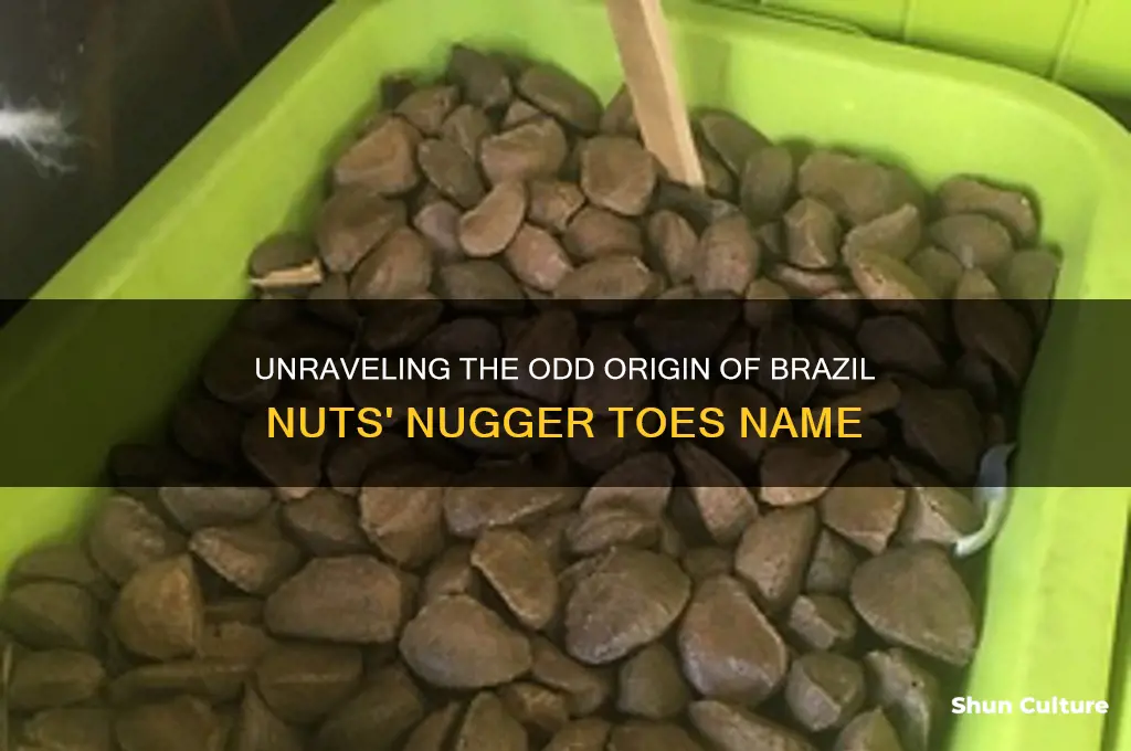 how did brazil nuts get the name nugger toes