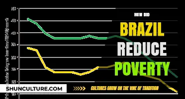 Brazil's Poverty Reduction Success: Strategies, Policies, and Lessons Learned