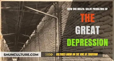 Brazil's Innovative Strategies to Overcome the Great Depression Challenges