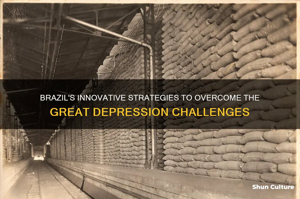 how did brazil solve problems of the great depression