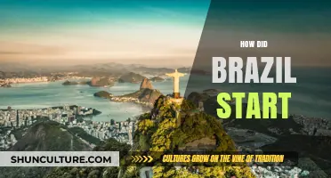 Brazil's Origins: A Journey Through History and Cultural Beginnings