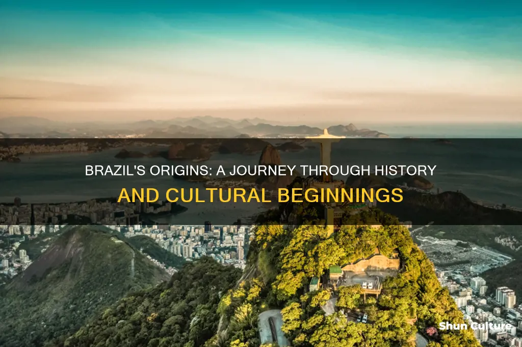 how did brazil start