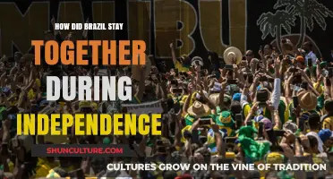 Brazil's Unity: How the Nation Stayed Intact During Independence