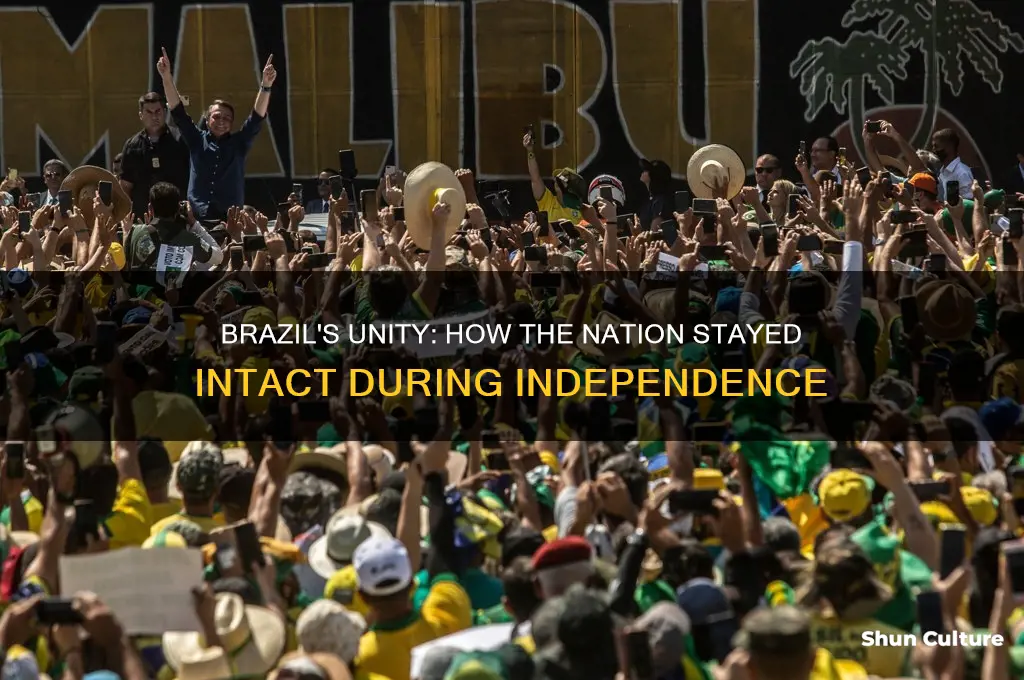how did brazil stay together during independence