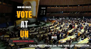 Brazil's UN Voting Patterns: Insights into Its Global Diplomatic Stance