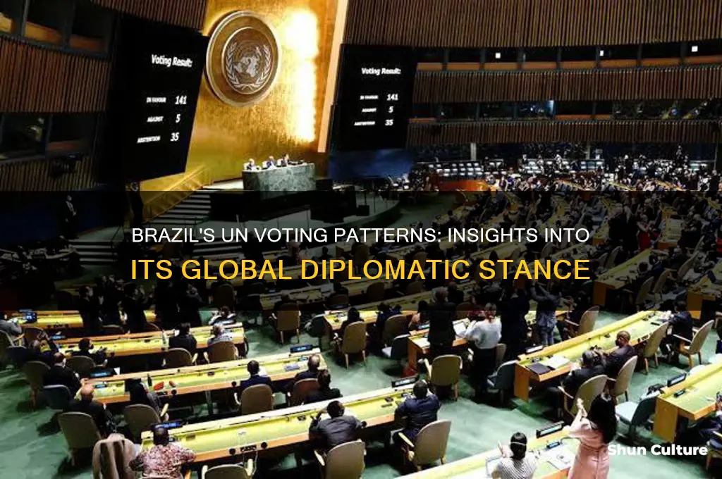 how did brazil vote at un