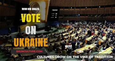 Brazil's Stance on Ukraine: Analyzing Its UN Votes and Foreign Policy