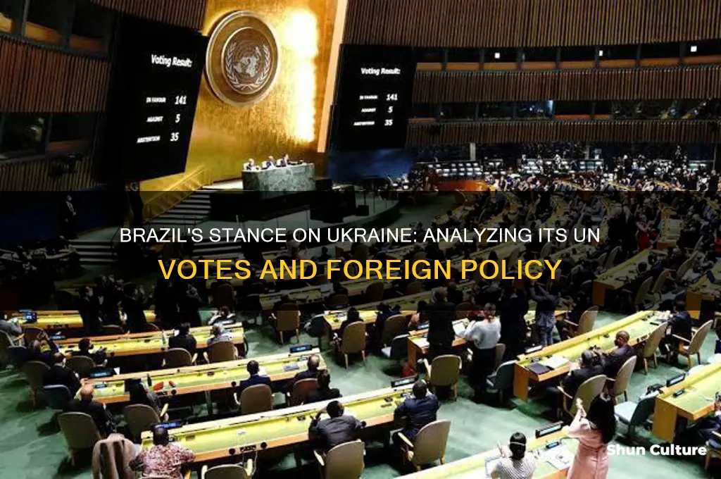 how did brazil vote on ukraine