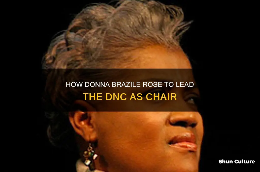 how did brazile end up dnc chair
