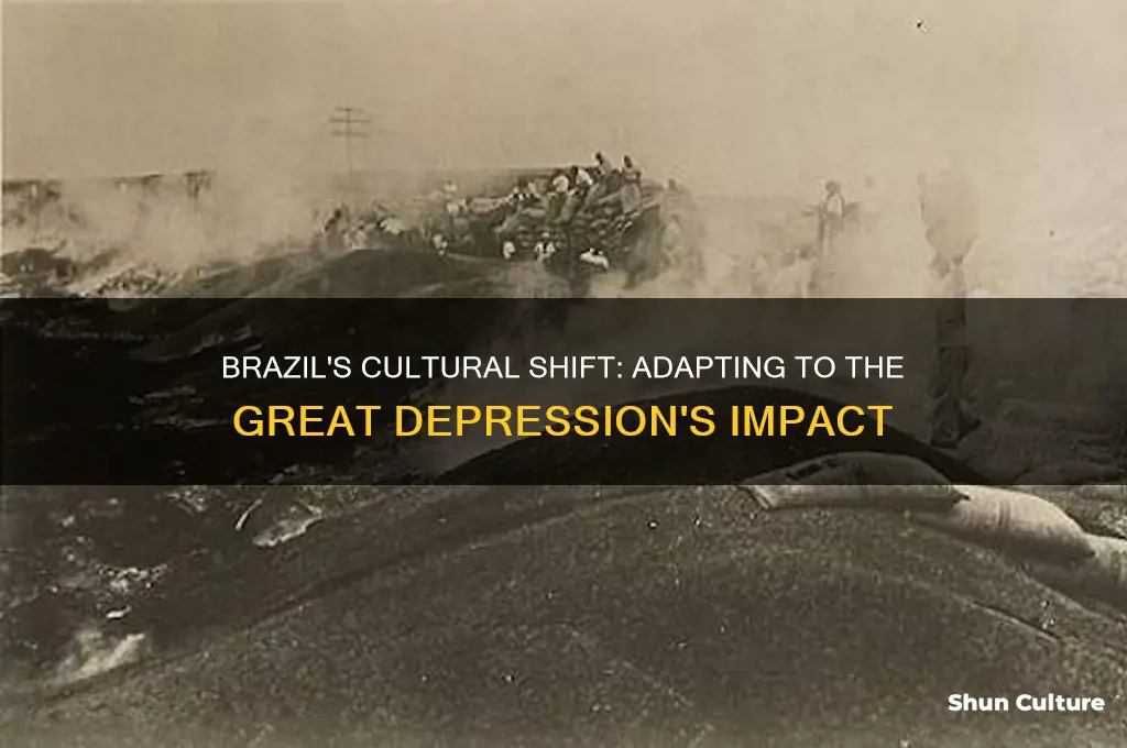 how did brazil