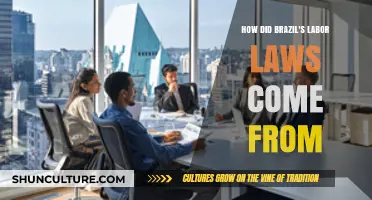 The Evolution of Brazil's Labor Laws: A Historical Overview