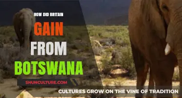 Britain's Economic and Political Gains from Botswana's Resources and Influence