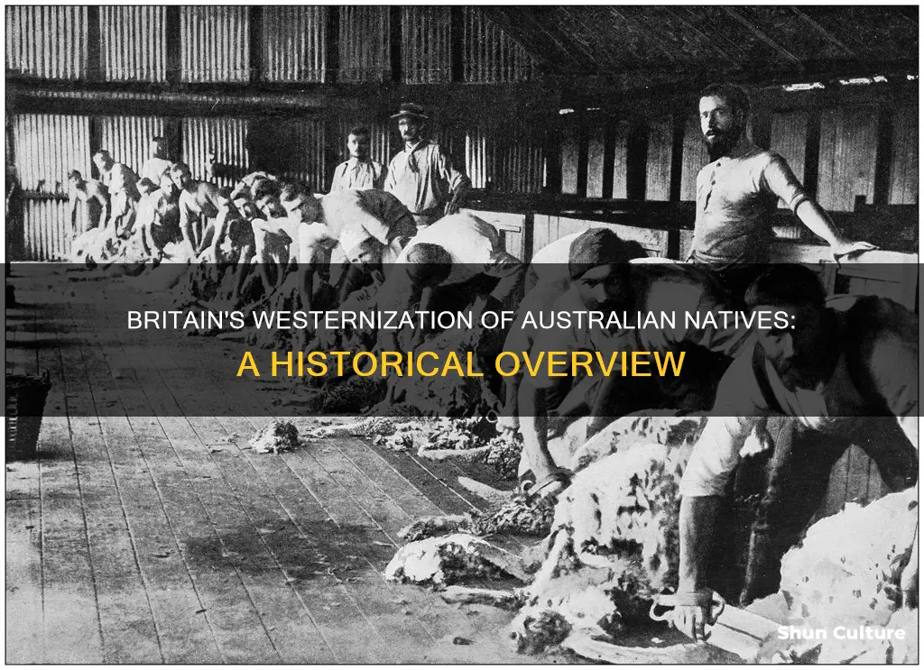 how did britain westernize the australian native
