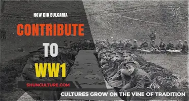 Bulgaria's Role in World War I: A Comprehensive Overview