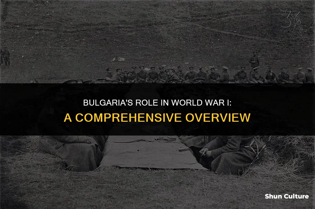 how did bulgaria contribute to ww1