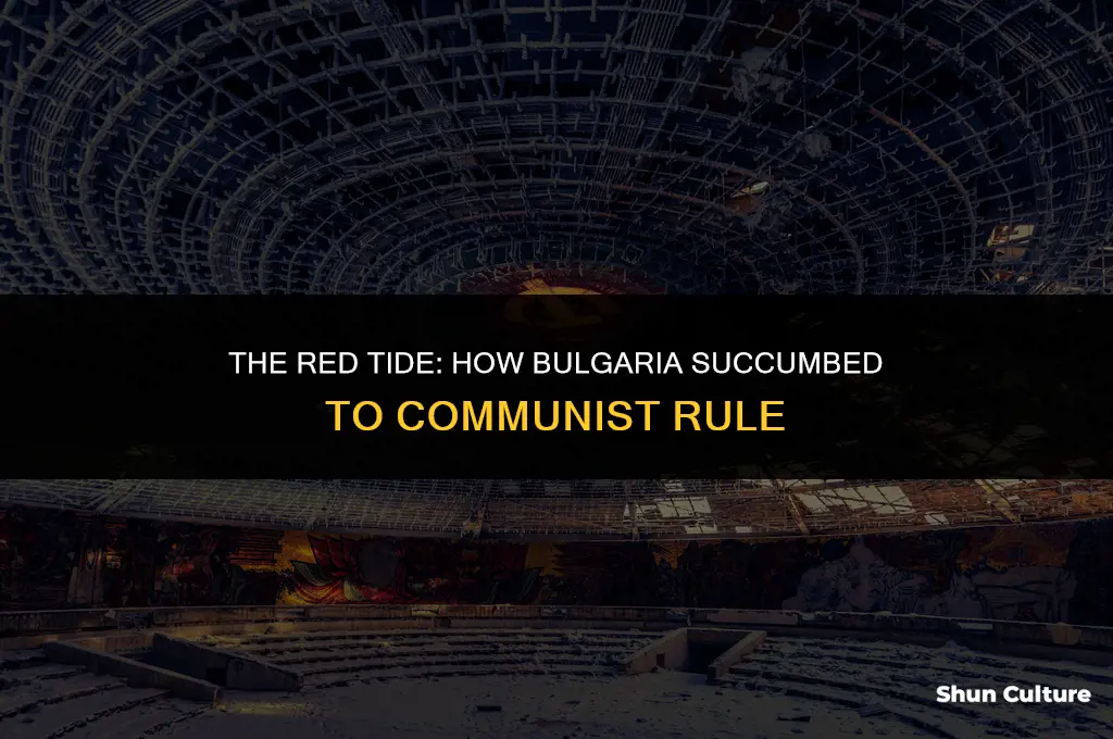 how did bulgaria fall to communism