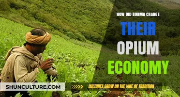Transforming Burma: The Journey from Opium to Economic Reform