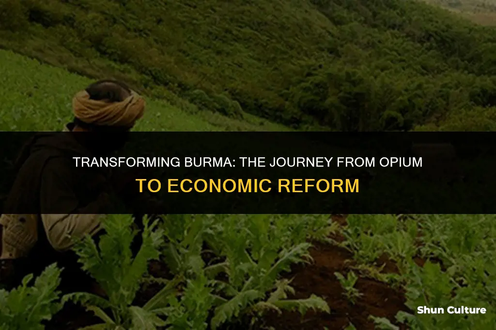 how did burma change their opium economy