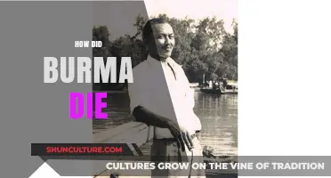 The Tragic Demise of Burma: A Nation's Struggle and Sorrow